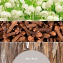 Reed diffuseris 500 ml BALTAIS MUSK MILLEFIORI