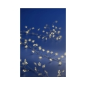 Lumineo compact Micro LED star light chain, battery operated Lumineo compact Micro LED star light chain, battery operated
