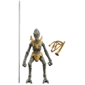 Hasbro Star Wars Orray un Geonosian Picador figūra 9,5 cm Hasbro Star Wars Orray un Geonosian Picador figūra 9,5 cm