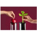 Nutribullet NBJ200G Nutribullet NBJ200G