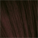 Wella Professionals Schwarzkopf Professional, Igora Royal, Permanent Hair Dye, 3-68 Dark Brown Chocolate Raudona, 60 ml For Wome Wella Professionals Schwarzkopf Professional, Igora Royal, Permanent Hair Dye, 3-68 Dark Brown Chocolate Raudona, 60 ml For Wome