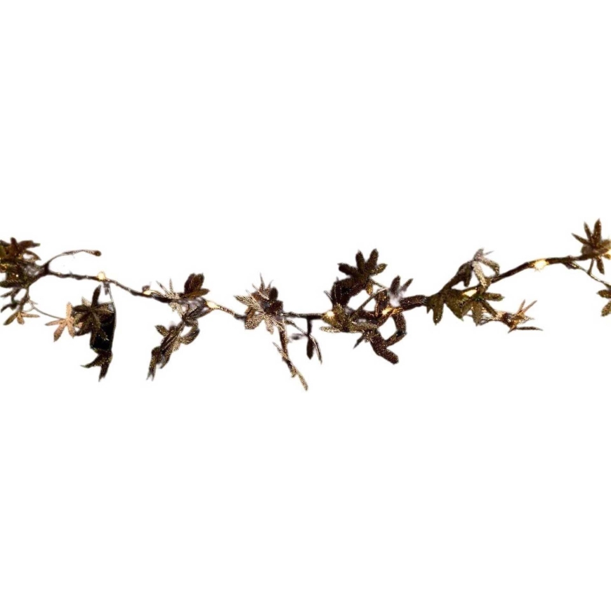 Fééric Lights and Christmas 14071955 25 LED 2.4m
