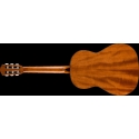 Fender CN-30 Nylon - Acoustic Guitar