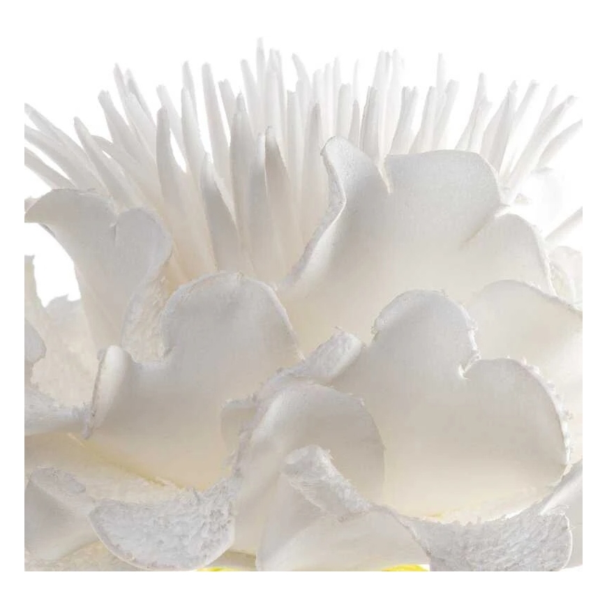 Eurofirany KW/FLORE/835/B B – 2