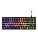 GENESIS Thor 430 TKL keyboard Gaming USB QWERTY US English Black