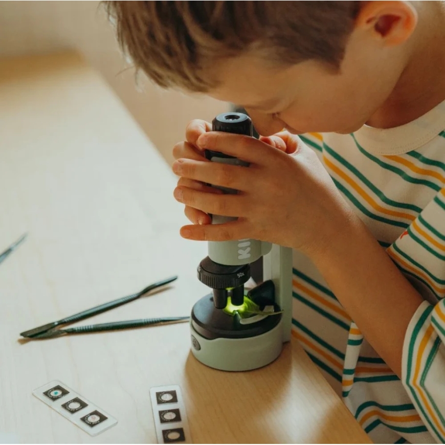 KIDYWOLF portable microscope KIDYMICROSCOPE, KIDYMICROSCOPE-GR – 3