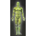 Select T26-11545 compression knee brace (SIZE – L) Select T26-11545 compression knee brace (SIZE – L)