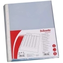 Esselte A4 48mic document sleeves for binders. 100 pcs (10K014B) Esselte A4 48mic document sleeves for binders. 100 pcs (10K014B)
