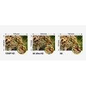 Ugreen 806020 HDMI-kaapeli 3 m HDMI-tyyppi A (vakio) Musta Ugreen 806020 HDMI-kaapeli 3 m HDMI-tyyppi A (vakio) Musta