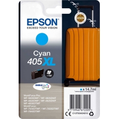 Epson 405XL Zils