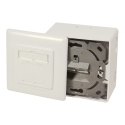 LogiLink NP0124 šakutės lizdas 2 x RJ-45 Metalinis, Balta LogiLink NP0124 šakutės lizdas 2 x RJ-45 Metalinis, Balta
