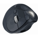KENSINGTON ProFit Ergo TB550 Трекбол Синий KENSINGTON ProFit Ergo TB550 Трекбол Синий