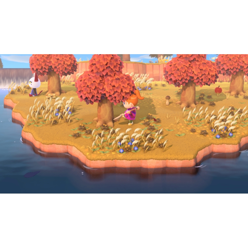 Nintendo Animal Crossing: New Horizons Standartinis Anglų kalba, Ispanų kalba „Nintendo Switch 2“ – 4