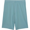 Puma ESS Small No.1 Logo -shortsit lapsille sininen 692974 47 (128cm) Puma ESS Small No.1 Logo -shortsit lapsille sininen 692974 47 (128cm)