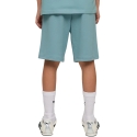 Šortai vaikams Puma ESS Small No.1 Logo mėlyna 692974 47 (128cm) Šortai vaikams Puma ESS Small No.1 Logo mėlyna 692974 47 (128cm)