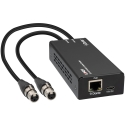 Audio Encoder - Lindy 2ch XLR to Dante Encoder, 96kHz, PoE, Black Audio Encoder - Lindy 2ch XLR to Dante Encoder, 96kHz, PoE, Black