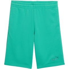 Шорты для детей Puma ESS Small No.1 Logo зеленые 692974 40 (140 см)