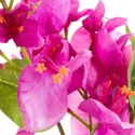 Eurofirany KW/NATU/495/AMA AMAR Eurofirany KW/NATU/495/AMA AMAR
