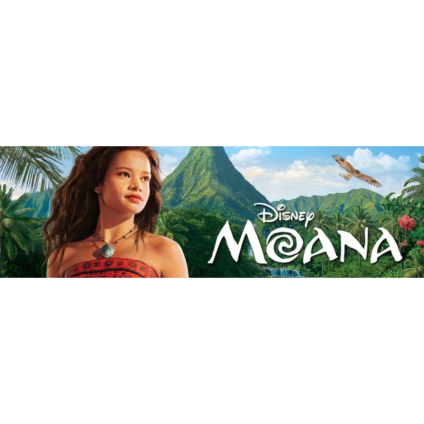 Mattel DISNEY PRINCESS MOANA Doll Vaiana (JLP16) – 2