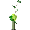 CaDA konstruktora ziedu komplekts Mierīga Harmonija 45,8 cm C59035W 299 daļas