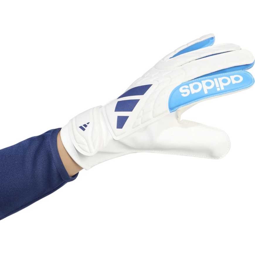 adidas Copa Club maalivahdin käsineet valkoinen ja sininen KE9731 (11) – 3