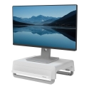 Fellowes 100016561 monitor mount / stand Fellowes 100016561 monitor mount / stand