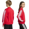 adidas Essentials Climacool punane pluus lastele KQ9728 (164cm) adidas Essentials Climacool punane pluus lastele KQ9728 (164cm)