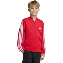adidas Essentials Climacool punane pluus lastele KQ9728 (164cm) adidas Essentials Climacool punane pluus lastele KQ9728 (164cm)