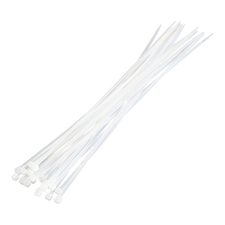 LogiLink KAB0040 nippuside Nailon Läpinäkyvä 100 kpl