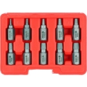 Vorel Toya Sa Polija Skrūvju izvilcēji | bojātiem Hex/Torx/Spline | 3–11 mm | 10 gab. (24007) Vorel Toya Sa Polija Skrūvju izvilcēji | bojātiem Hex/Torx/Spline | 3–11 mm | 10 gab. (24007)