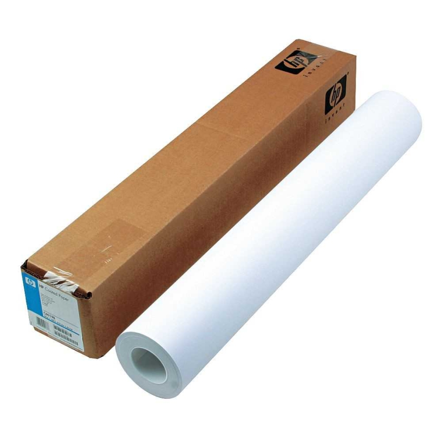 HP C6019B