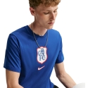 Meeste T-särk Nike Chelsea F.C. sinine IQ4996 495 (L)