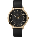 Sieviešu pulkstenis TIMEX TW2U41200 (zt676a)