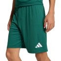 Шорты для детей adidas Entrada 26 зеленые KE9831 (128см) Шорты для детей adidas Entrada 26 зеленые KE9831 (128см)