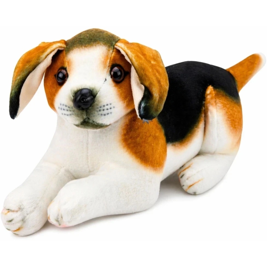 Lean Toys Pehme mänguasi - beagle, 25 cm