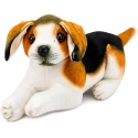 Lean Toys Pehme mänguasi - beagle, 25 cm Lean Toys Pehme mänguasi - beagle, 25 cm