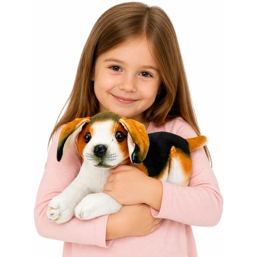 Lean Toys Mīkstā rotaļlieta - beagle, 25 cm – 3