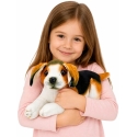 Lean Toys Pliušinis žaislas - biglis, 25 cm Lean Toys Pliušinis žaislas - biglis, 25 cm