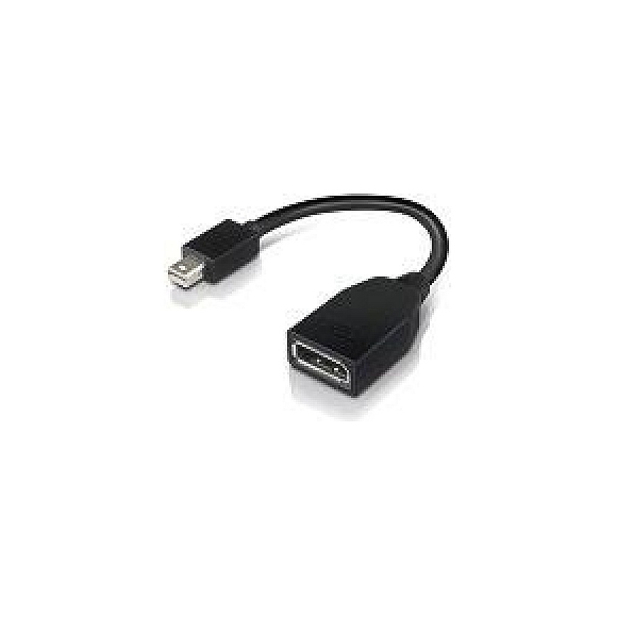 Lenovo 4X90L13971 DisplayPort kabelis Mini DisplayPort