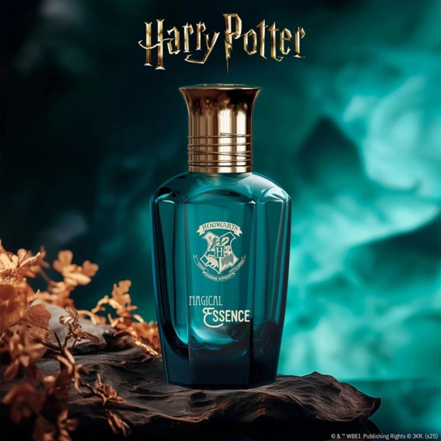 Harry Potter Magical Essence EDP parfüüm meestele, 50 ml – 3