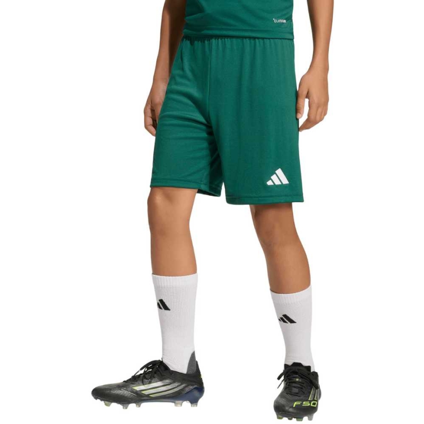 adidas Entrada 26 bērnu šorti zaļi KE9831 (152 cm)