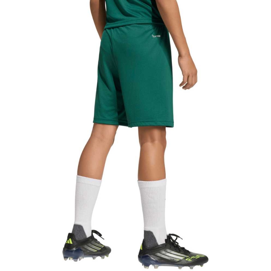 adidas Entrada 26 lasten shortsit vihreä KE9831 (152 cm) – 3