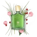 Wild Creed Laukinis vetiveris EDP 50ml
