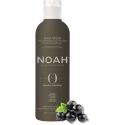 Noah Origins niisutav juuksemask toitev mask kahjustatud ja kuivatele juustele, 250 ml Noah Origins niisutav juuksemask toitev mask kahjustatud ja kuivatele juustele, 250 ml