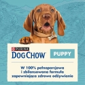 PURINA Purina Dog Chow Pentuliha 14 kg PURINA Purina Dog Chow Pentuliha 14 kg