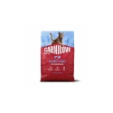 CARNILOVE Carnilove Cat Active Sterilised Salmon & Turkey 2 kg