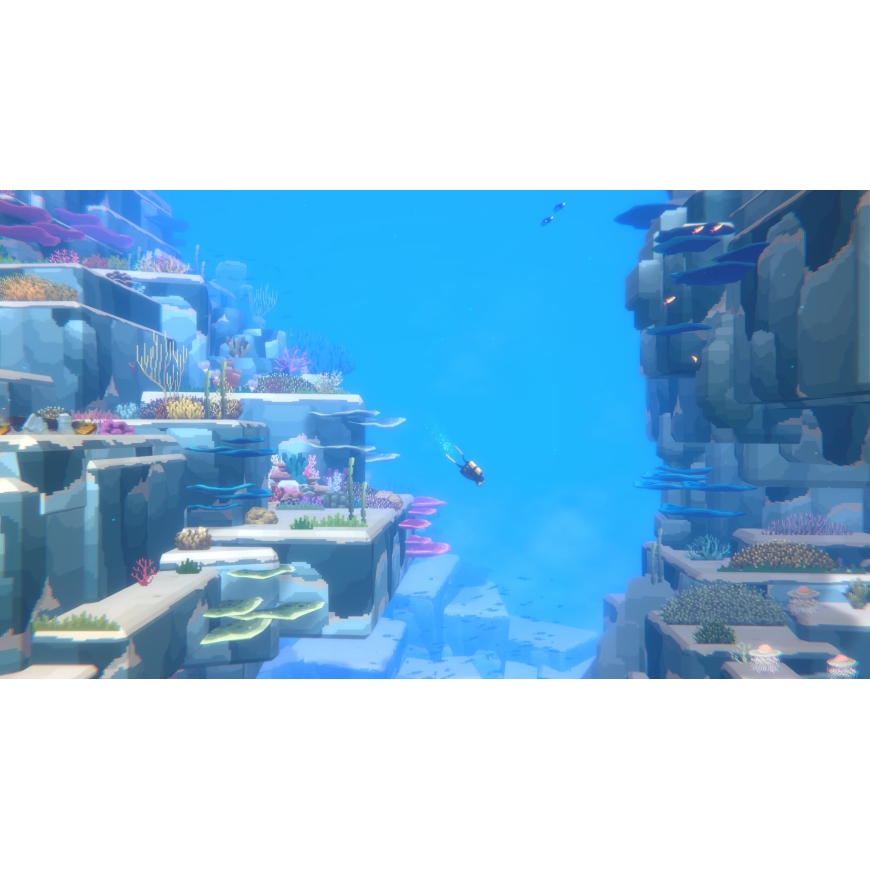 Dave the Diver - Kolekcionāra izdevums (Switch 2) – 4