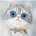 NIMMY BIG EYED Hopea SHADED CAT Kuori IPHONE 18 Pro Max/17 Pro Max Harmaa NIMMY BIG EYED Hopea SHADED CAT Kuori IPHONE 18 Pro Max/17 Pro Max Harmaa