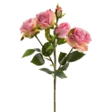 Eurofirany KW/NATU/480/ROOSA ROOS Eurofirany KW/NATU/480/ROOSA ROOS