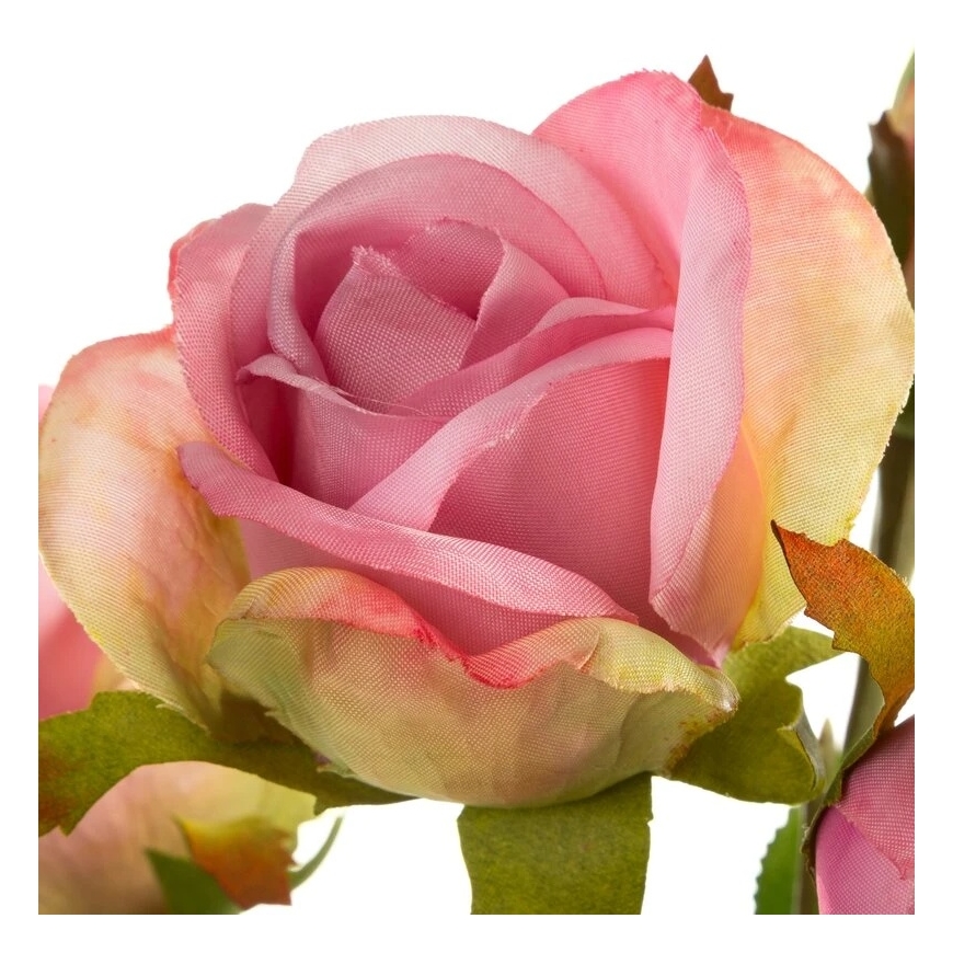 Eurofirany KW/NATU/480/ROZĀS ROZE – 2